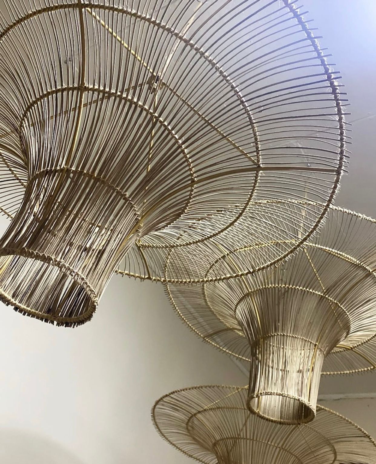 Lámpara Flor de Luz